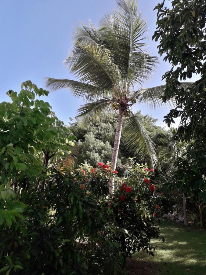 Villa Kazatipunch Saint-Francois  Exterior foto